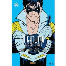 Nightwing: Das erste Jahr