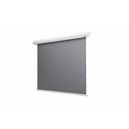 CELEXON Rahmen-Leinwand HomeCinema Dynamic Slate (110 inch, 16:9)