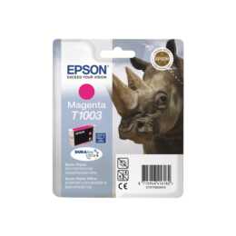 EPSON C13T10034010 (Magenta, 1 pièce)