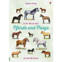 Pferde und Ponys