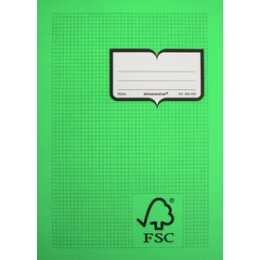 NATURA LINE Cahier (A4, Carreaux, Vert)