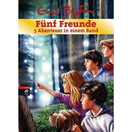 Fünf Freunde - 3 Abenteuer in einem Band Bd.19