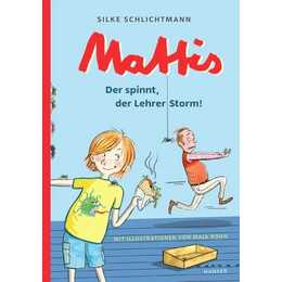 Mattis - Der spinnt, der Lehrer Storm!