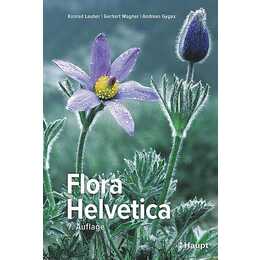 Flora Helvetica - Illustrierte Flora der Schweiz