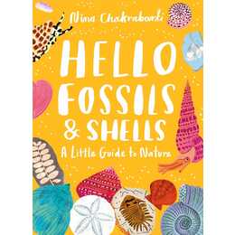 Little Guides to Nature: Hello Fossils and Shells