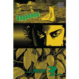 Vagabond, Vol. 3 (Vizbig Edition)