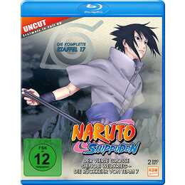 Naruto Shippuden Stagione 17 (Uncut, DE, JA)