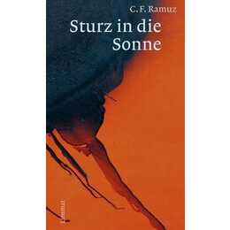 Sturz in die Sonne