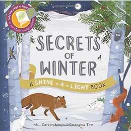 Shine a Light: Secrets of Winter