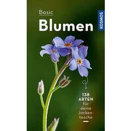 BASIC Blumen