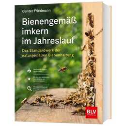 Bienengemäss imkern im Jahreslauf