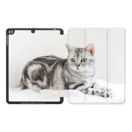 EG MTT Coque pour Apple iPad 10.2" 2019 - Chat