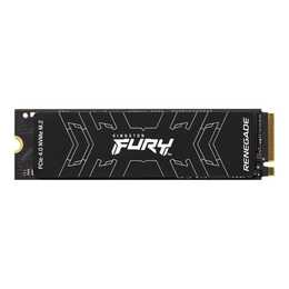 KINGSTON TECHNOLOGY FURY Renegade (PCI Express, 500 GB, Schwarz)