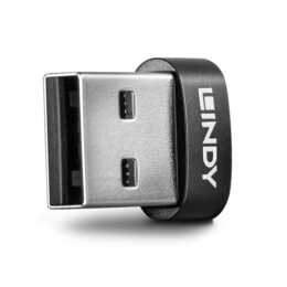 LINDY Adaptateur (USB Typ A, USB Type C)