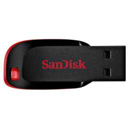 SANDISK Cruzer Blade (32 GB, USB 2.0 di tipo A)