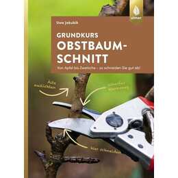 Grundkurs Obstbaumschnitt