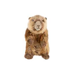 LEO BRUMMBÄR Marmotta (17 cm, Marrone)