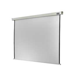 CELEXON Einbau-Leinwand motorisiert Professional (113 inch, 4:3)