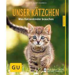 Unser Kätzchen