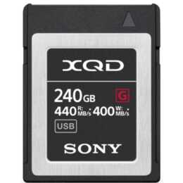 SONY Memory Stick QD-G240F (Class 10, 240 Go, 440 Mo/s)