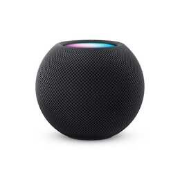 APPLE HomePod mini Lautsprecher (Space Grau)