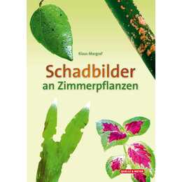 Schadbilder an Zimmerpflanzen