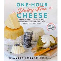 One-Hour Dairy-Free Cheese