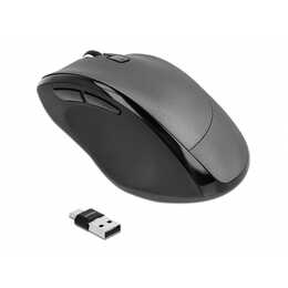 DELOCK 12016 Souris (Sans fil, Office)