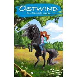 Ostwind - Ein rätselhafter Unfall