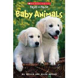 Baby Animals