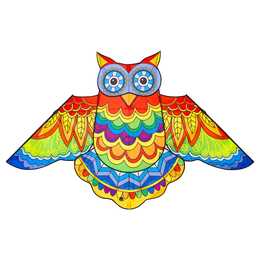 INVENTO-HQ Jazzy Owl Kite Lenkdrachen