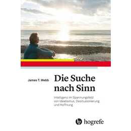 Die Suche nach Sinn