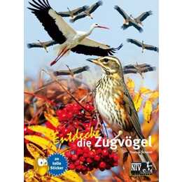 Entdecke die Zugvögel 8