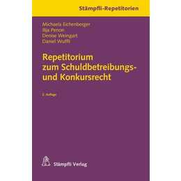 Repetitorium zum Schuldbetreibungs- und Konkursrecht