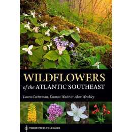 Wildflowers of the Atlantic Southeast