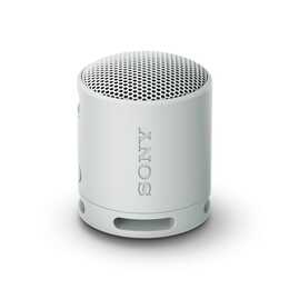 SONY SRS-XB100 (Grau)