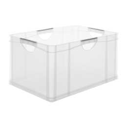 ROTHO Aufbewahrungsbox (55 l)