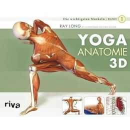 Yoga-Anatomie 3D