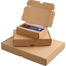 HELIT Versandbox (25 Stück)