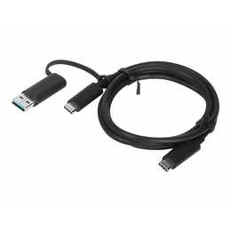 LENOVO Hybrid Câble USB (USB Typ A, USB Type C, 1 m)