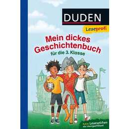 Mein dickes Geschichtenbuch für die 3. Klasse