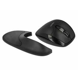 DELOCK 12673 Mouse (Senza fili, Office)