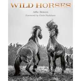 Wild Horses