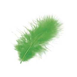 KNORR PRANDELL Plumes (Vert, 15 pièce)