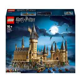 LEGO Harry Potter Schloss Hogwarts (71043, seltenes Set)