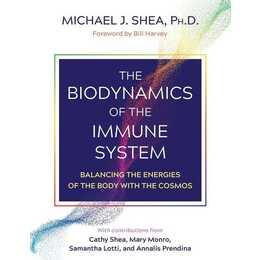 The Biodynamics of the Immune System