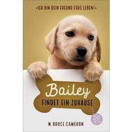 Bailey findet ein Zuhause