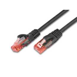 WIREWIN Cavo di rete (RJ-45, 0.25 m)