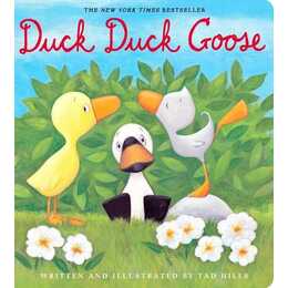 Duck, Duck, Goose