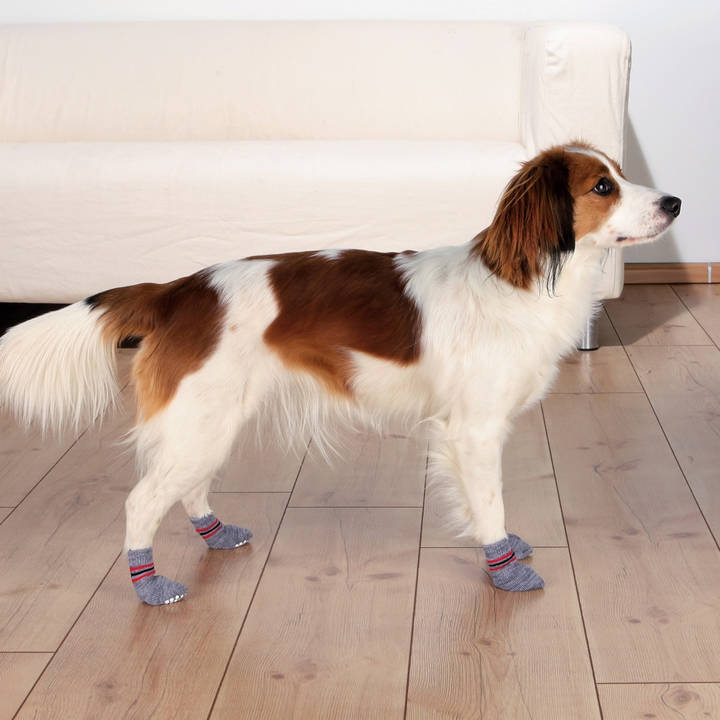 TRIXIE chaussettes pour chien antidérapantes L-XL